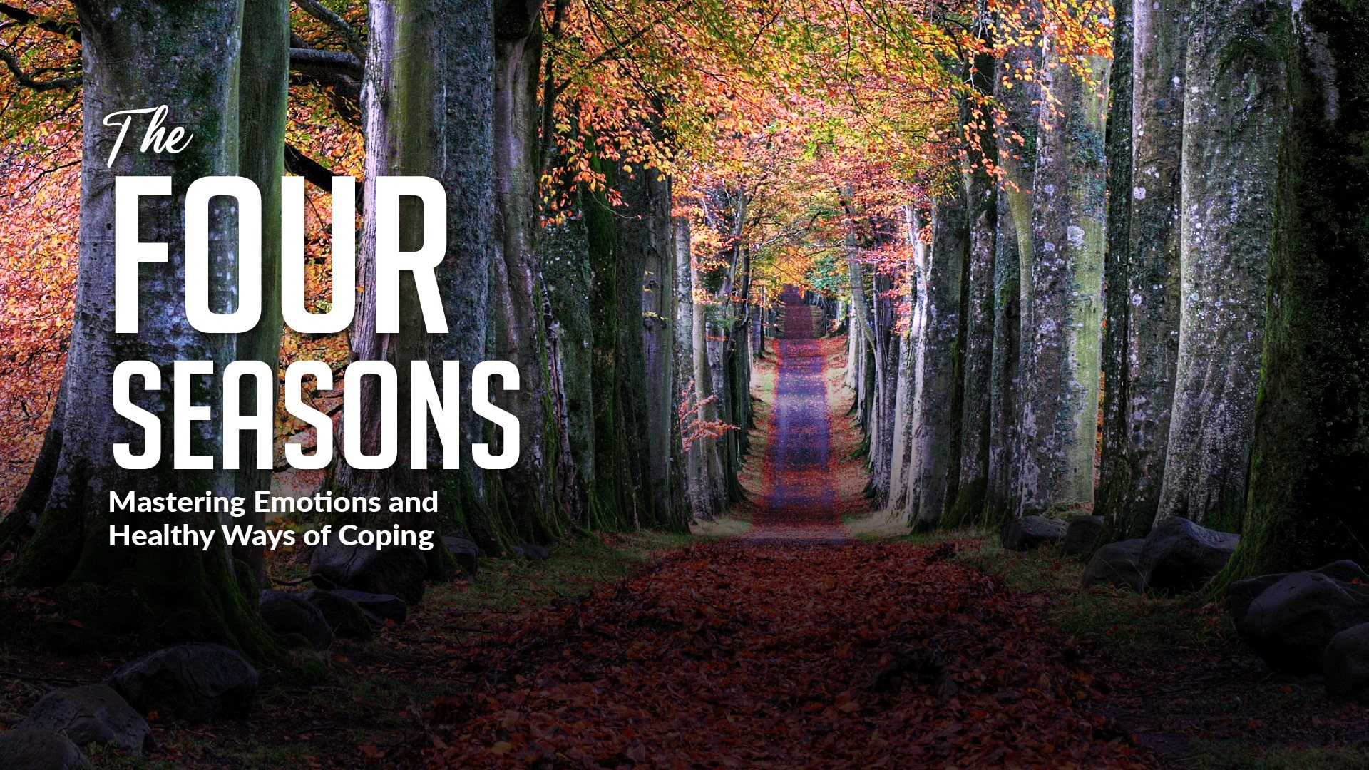 The Four Seasons: Mastering Emotions and Healthy Ways of Coping