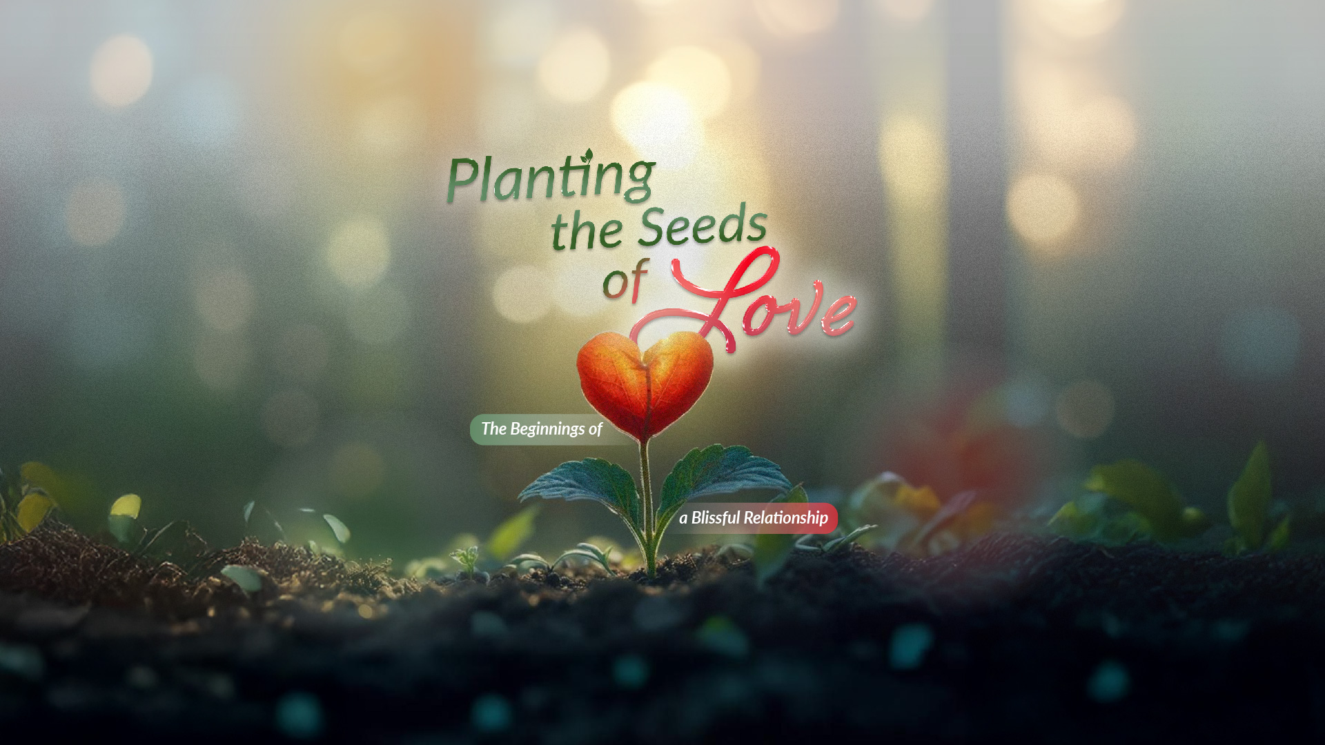 Planting the Seeds of Love: The Beginnings of a Blissful Relationship with Shaykh Wael Ibrahim, Mufti Menk, and Dr Muhammad Salah on Saturday, 14 December 2024, 11:00 AM - 4:00 PM