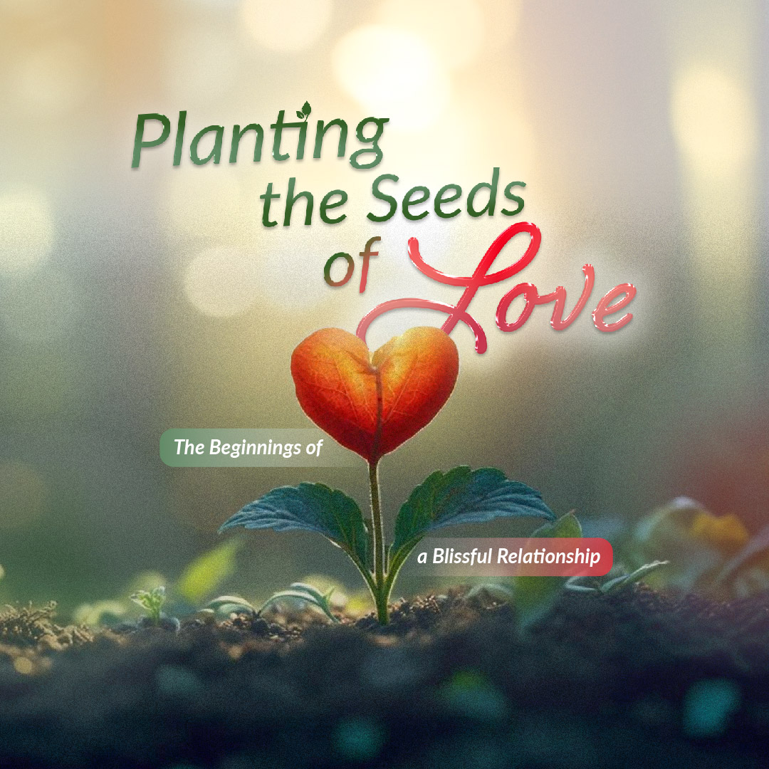 Planting the Seeds of Love: The Beginnings of a Blissful Relationship with Shaykh Wael Ibrahim, Mufti Menk, and Dr Muhammad Salah