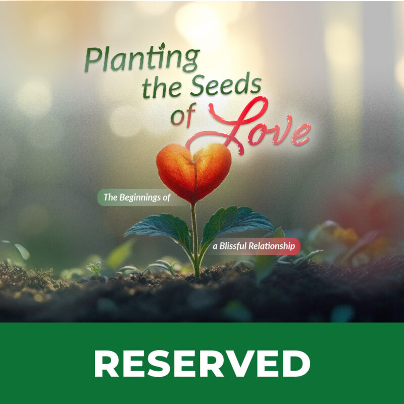 Planting the Seeds of Love: The Beginnings of a Blissful Relationship | Reserved